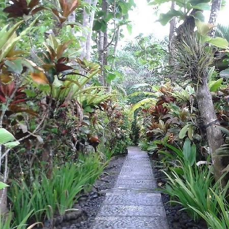 Pondok Pisces Bungalows Balian Beach Selemadeg  Exterior photo
