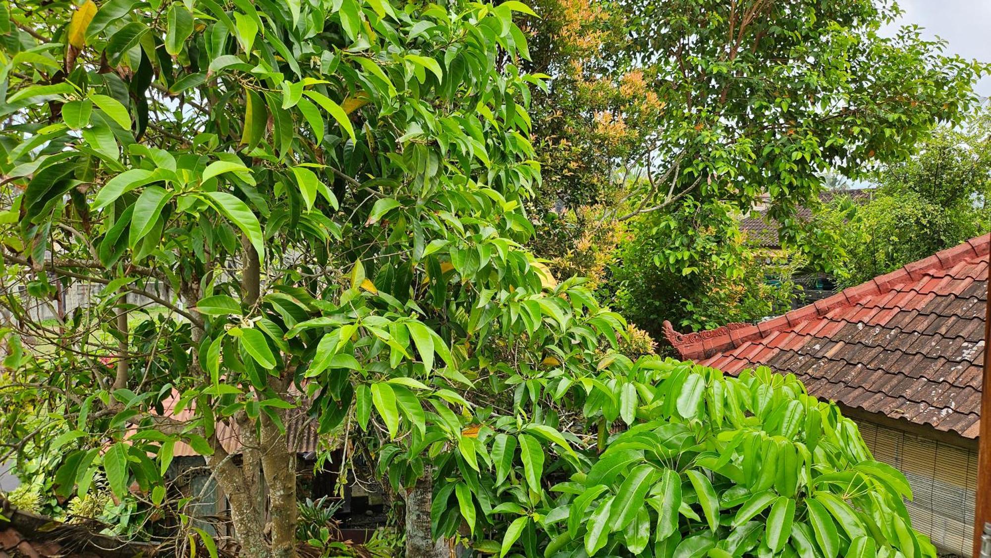 Pondok Pisces Bungalows Balian Beach Selemadeg  Room photo