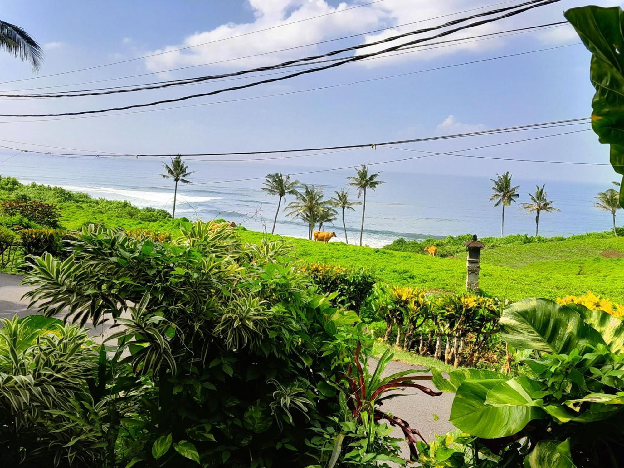 Pondok Pisces Bungalows Balian Beach Selemadeg  Exterior photo