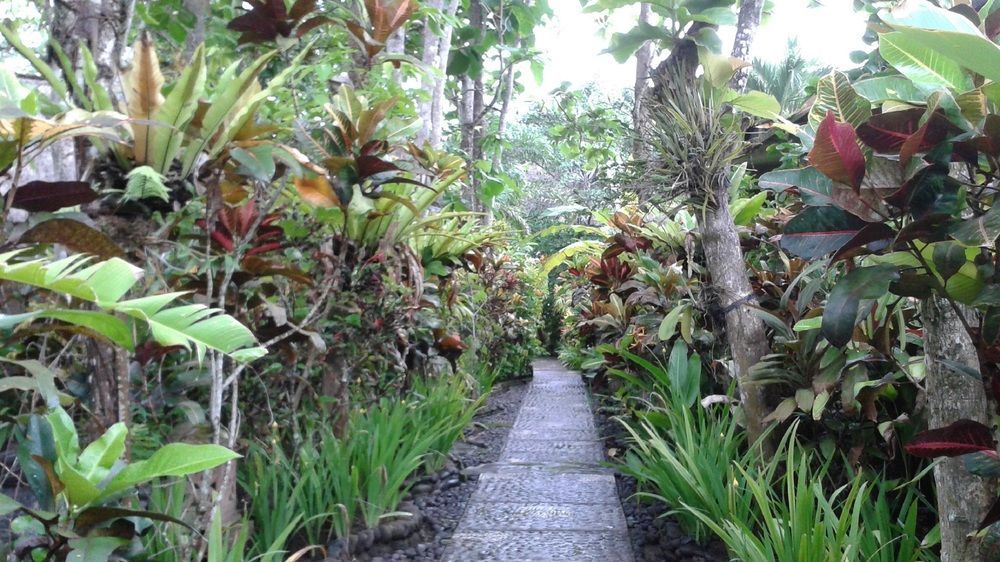 Pondok Pisces Bungalows Balian Beach Selemadeg  Exterior photo